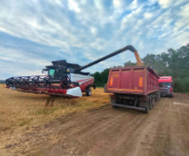 � �������� ���������