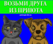 �������� �� �.����� ���� ���