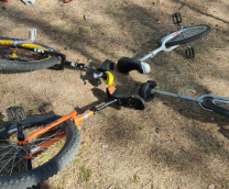 ���� ���������