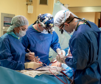 ������� ������