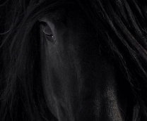 ������, � ��� ���� �����?