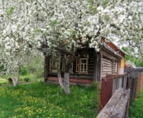 ��� ��������� �������