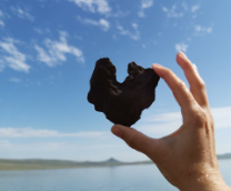 ��� �������� ������