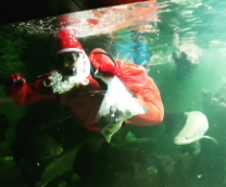 ������� �����������