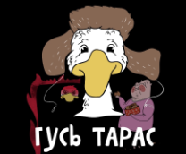 ���� �����