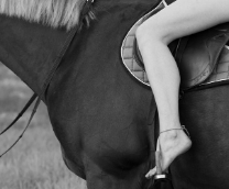 ������� �� � ������ ���������� � ���������