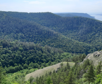 �������� ����� ��������� �������