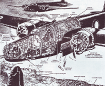 War in illustration: ����� ����������� �������