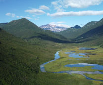 ������-��������-�����������