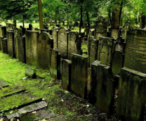 ��� ���������� �� ��������