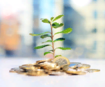 �������. ������, ������...