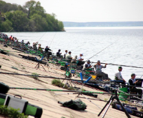 ������ ������������� ������������ �� ������ �����