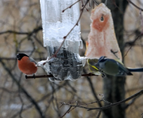 �������� �� �����