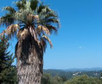 ��� �� �� �����.