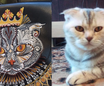 ������� ����������� � �������� �������