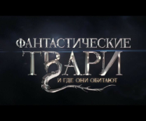 #�����������������