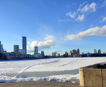 ���� ���������.