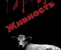 ������� ����������