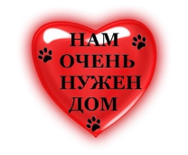 ������� �����!