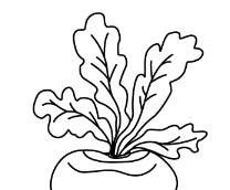 ���� � ����