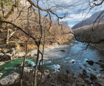 ������ �����������