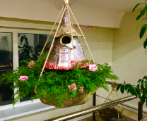 ��� ������ - �������� ��� ���� � �����������