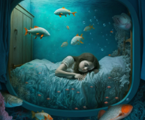 �������� ���