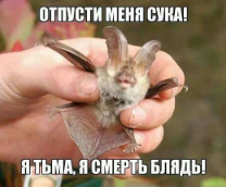 ���� �����