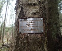 ����� � �������������� ��������