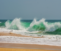 ��� �����