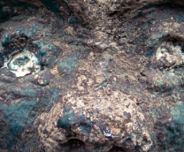 ������������ ���