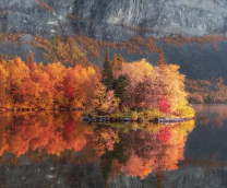 ��������� � ��������