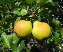 ��������� ��� � ������