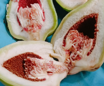 ��������� 11