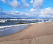 ����, ���� - ��� ���������.