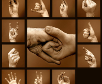 �������� �������