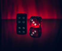 � ���� ���� ���� ��������� ������, ���������� ����