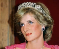 ������������ ���������