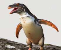 ������� � �����