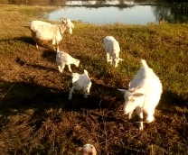 ����������� �������� - ����� �����!