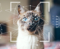 � � ���������