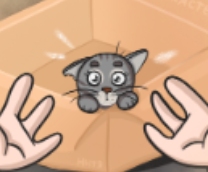 � ��� ���