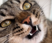 ���� ���� � ����