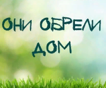 ��������, �������� ���