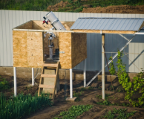 ����������� ������������