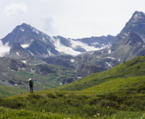 ������� � �������� �������