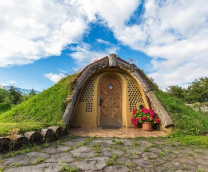 ������� ��� ����