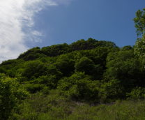 ����� �� "������� ����" ���� �����.