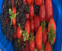 ���-������ ���