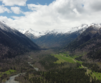 ��� ��������� � ������